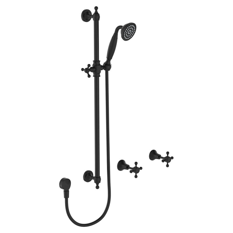 Fienza Lillian Rail Shower Set Matte Black