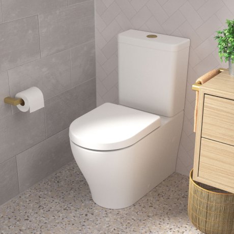 Caroma Luna Toilet Roll Holder Brushed Brass - Sydney Home Centre