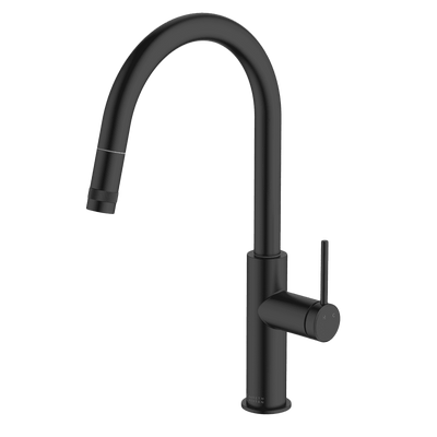 Gareth Ashton Poco Pull Out Kitchen Mixer Black