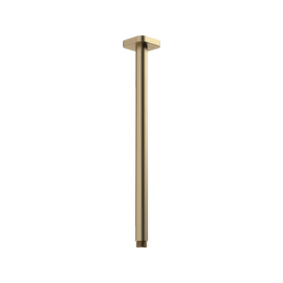 Caroma Luna Straight Arm Square Flange 410mm Brushed Brass - Sydney Home Centre