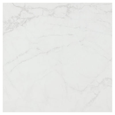 Carrara Grey 600x600 Matte