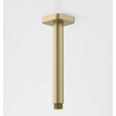 Caroma Luna Straight Arm Square Flange 210mm Brushed Brass - Sydney Home Centre