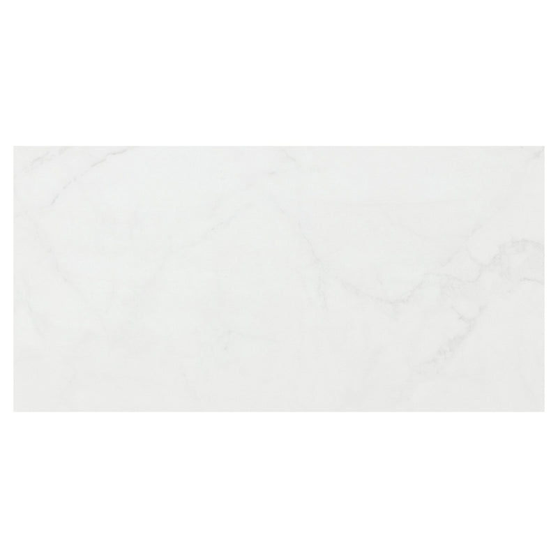 Carrara Grey 300x600 Polished - Sydney Home Centre