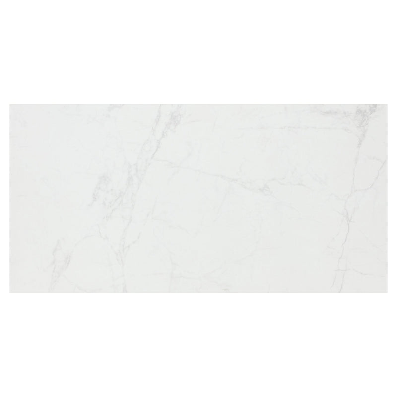 Carrara Grey 600x1200 Polished - Sydney Home Centre