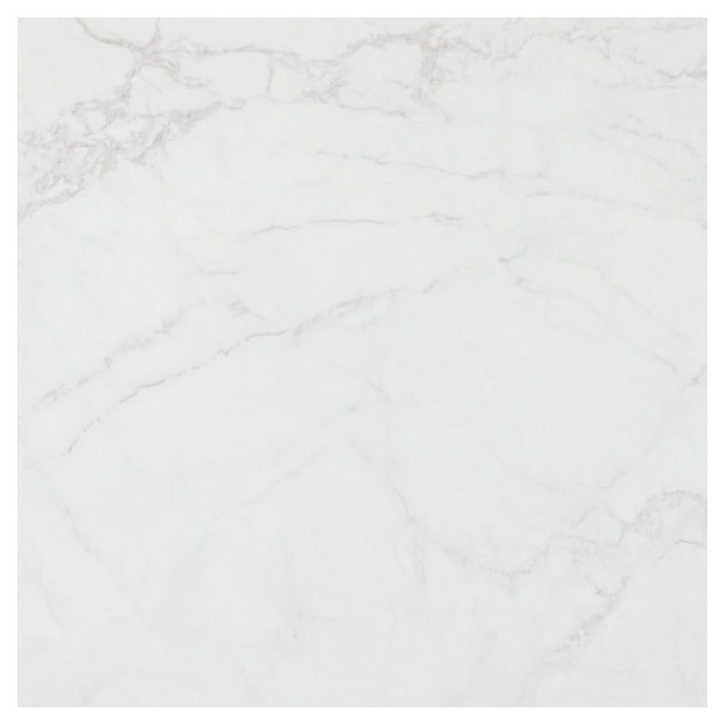 Carrara Grey 600x600 Matte - Sydney Home Centre