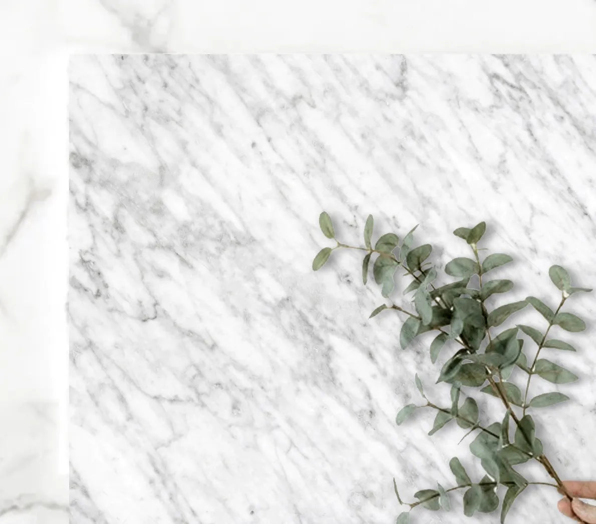 Otti Bondi 750mm Curve Vanity White Fluted (Natural Marble Top Natural Carrara Marble) - Sydney Home Centre