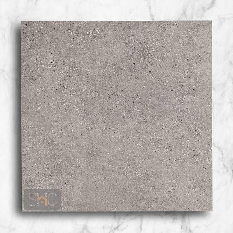 T-Stone Ash Grey 600x600 Matte