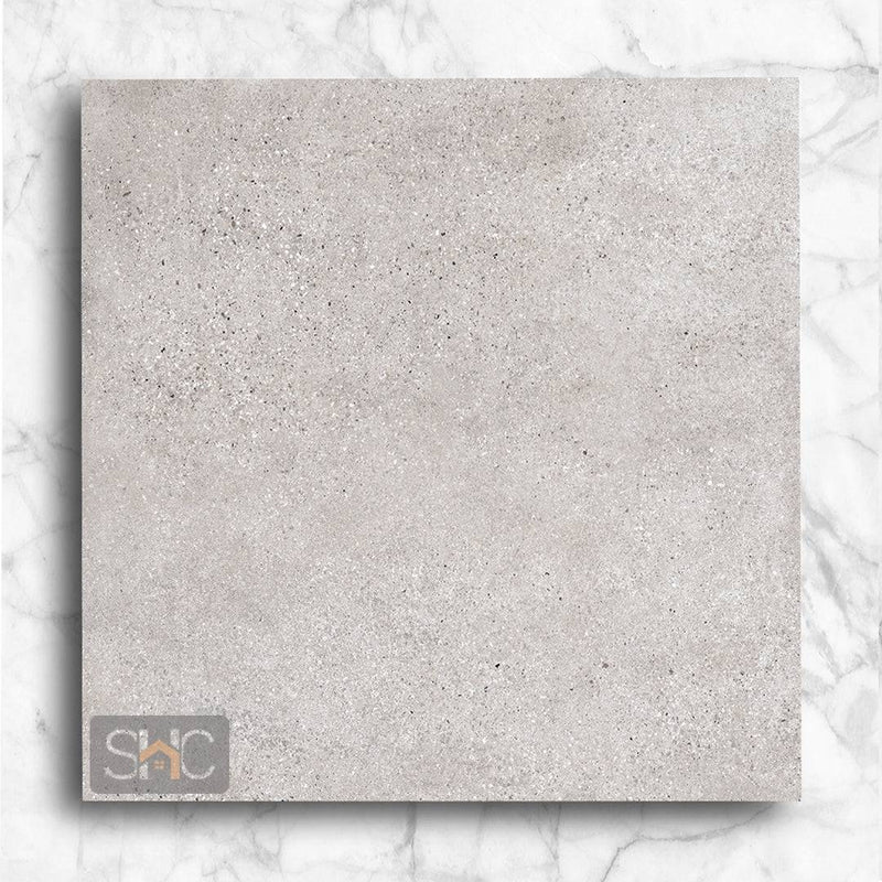 T-Stone Light Grey 600x600 Matte