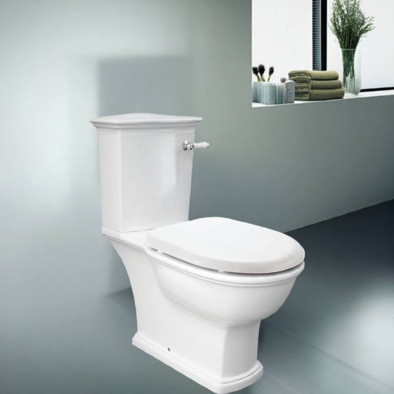 Fienza RAK Washington Front Lever Close-Coupled Toilet Suite P Trap Alpine White