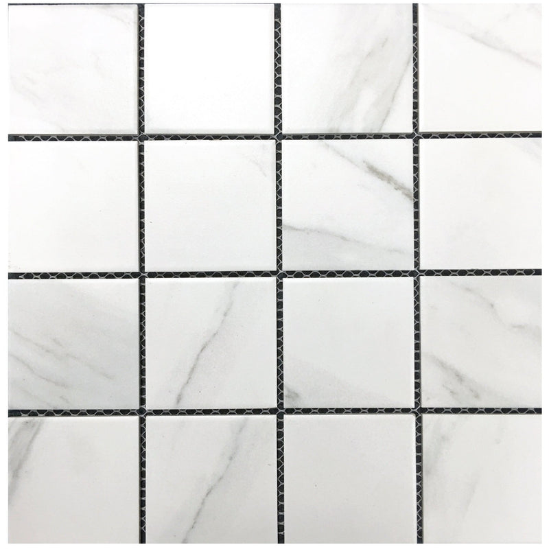 Carrara Look Matte Porcelain Glazed 73x73mm Square - Sydney Home Centre