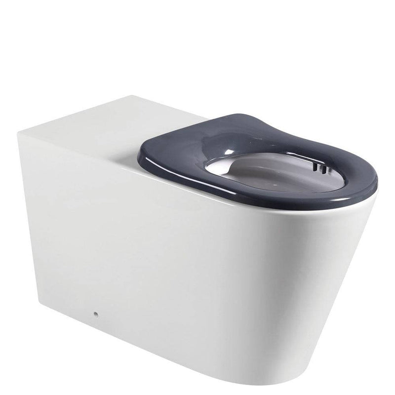 Fienza Isabella Care Back-To-Wall Toilet Suite P Trap White - Pan + Grey Seat + GEBERIT Sigma In-Wall Cistern (Buttons Not Included) - Sydney Home Centre