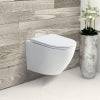 Fienza Koko Wall-Hung Toilet Suite P Trap Matte White - Pan + Seat + GEBERIT Kappa Under Counter Cistern - Sydney Home Centre