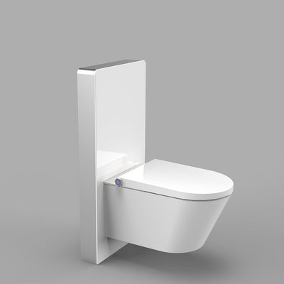 Gallaria Alta Column+ Wall Hung Toilet Suite With Intelligent Bidet Seat White - Sydney Home Centre