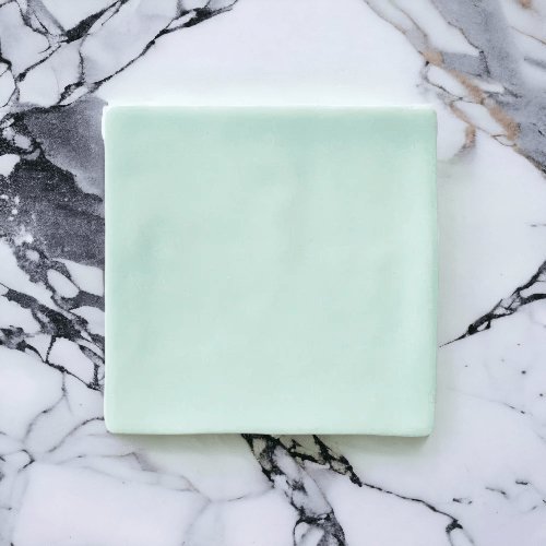 Luxe Mint 100x100 Matte - Sydney Home Centre