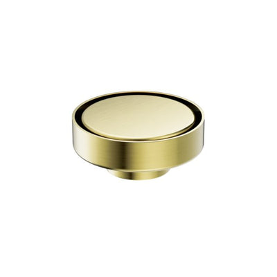 Nero 100mm Round Floor Waste 50mm Outlet Brushed Gold - Sydney Home Centre